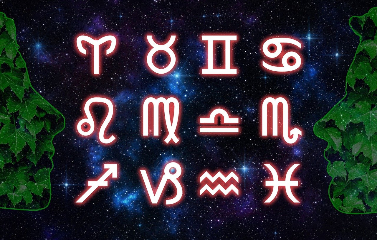 猴年生肖运势大揭秘，2020年猴儿的运势指南与运程解析
