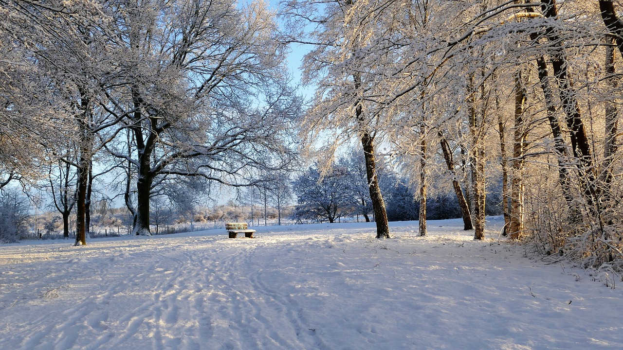 雪域白清寨，冬日里的冰雪奇缘，挑战你的极限滑雪天堂