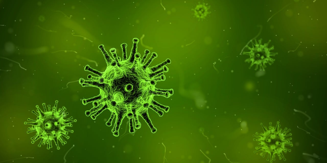 接种新冠疫苗后的饮食调整与禁忌全攻略，科学与健康并行