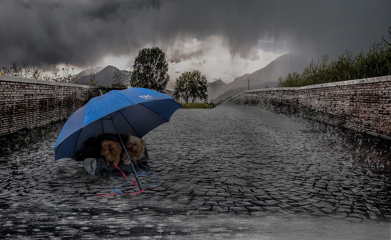 突发！京津冀川局地遭遇罕见大暴雨，城市排水系统面临严峻考验