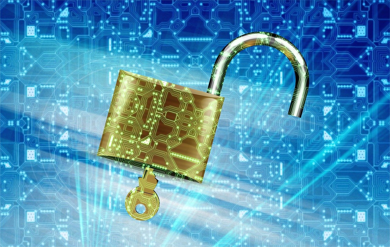 2019年的生肖密码，解锁智慧与坚韧的金猪年