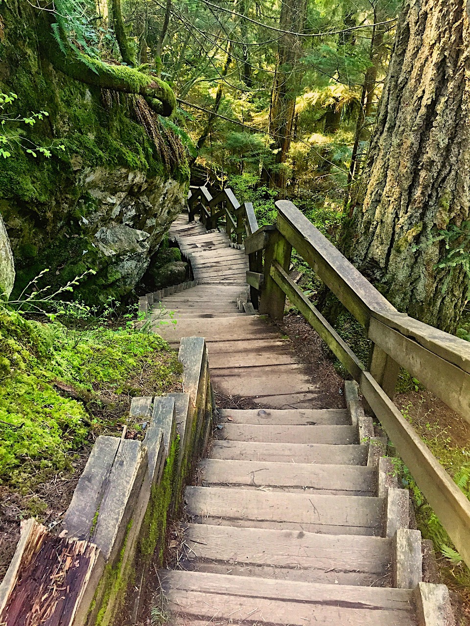 探索山阳天竺山，大自然的绿色宝藏与心灵的宁静绿洲