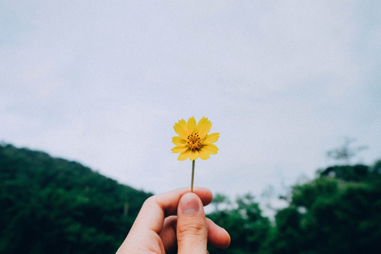 生活经验中的动物智慧，从自然行为中学到的生活哲学