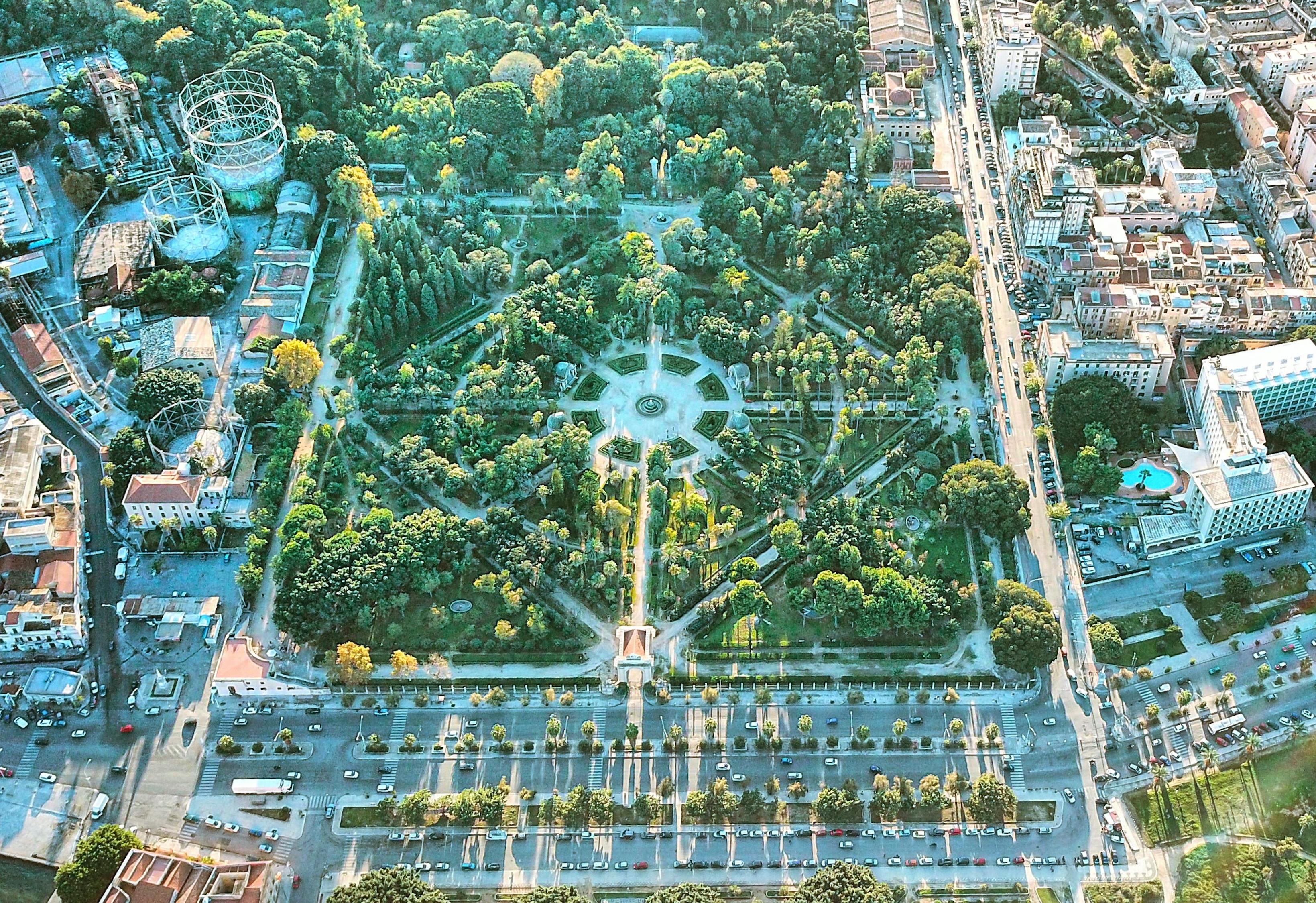 沈阳封城，守护健康，共筑防线