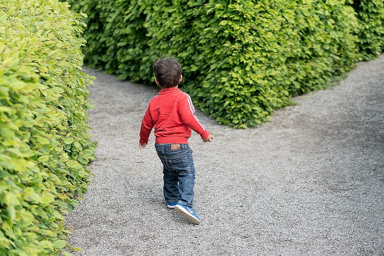 西安封城了吗？疫情下的古城生活与应对措施