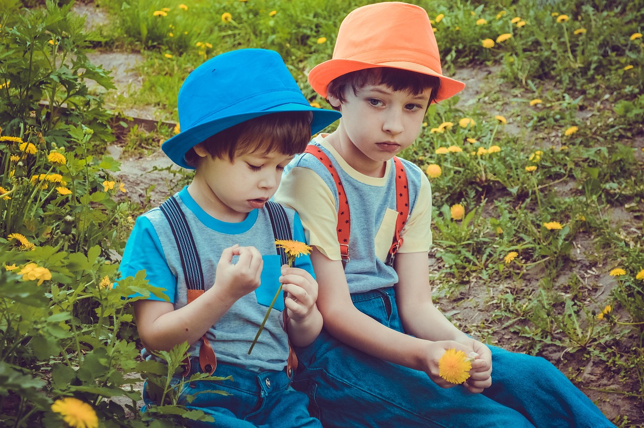 探索幼儿的世界，生活经验的奥秘