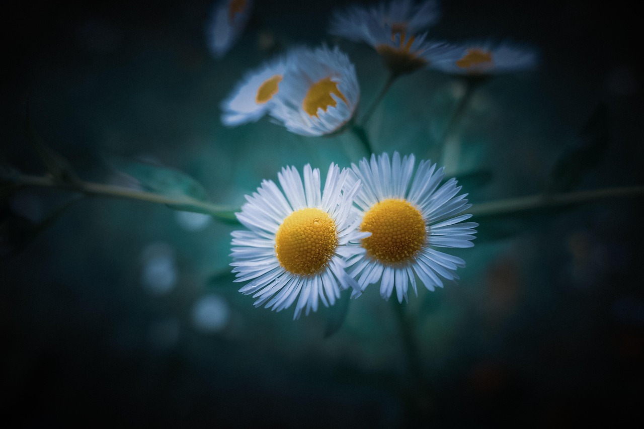 谷雨时节，春末夏初的温柔过渡