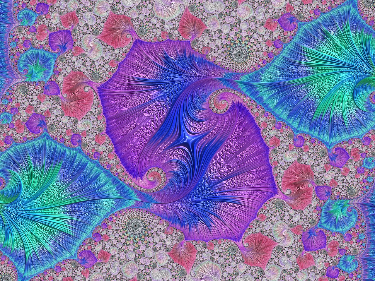 生活百科，揭秘日常图片中的科学与艺术