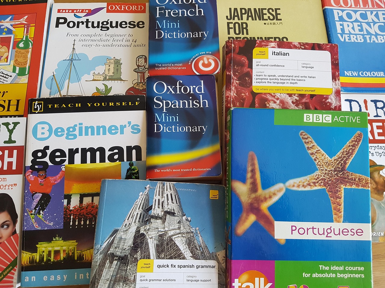 百科趣味，探索知识的奇妙之旅