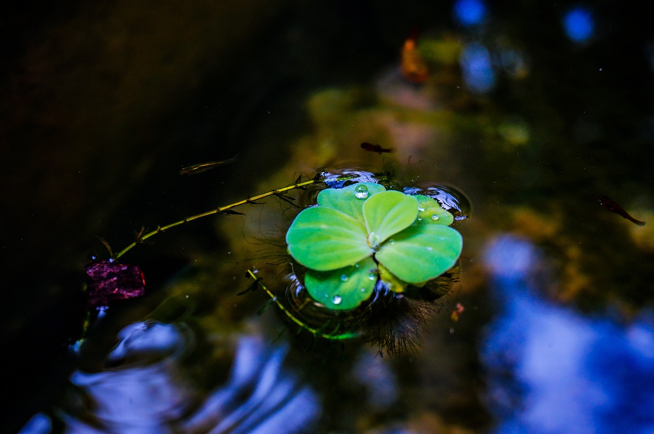 谷雨节气小知识手抄报，探索春天的最后一个节气